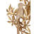 Aviary Gold Wall Sconce