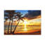 «Coconut Palm Trees Against Colorful Sunset Ocean», art mural sur toile-324157654