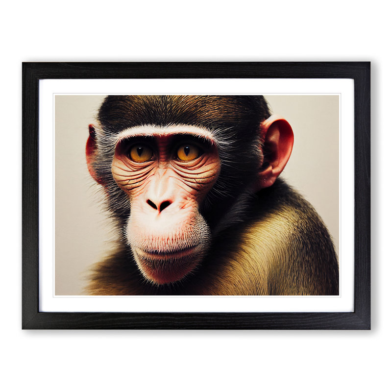 Monkey - Framed Print, Black Framed, 34cm H x 46cm W x 2cm D