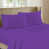 Orchid est en rupture de stock