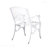 2-Piece Set Patio Arm Chair-893154149