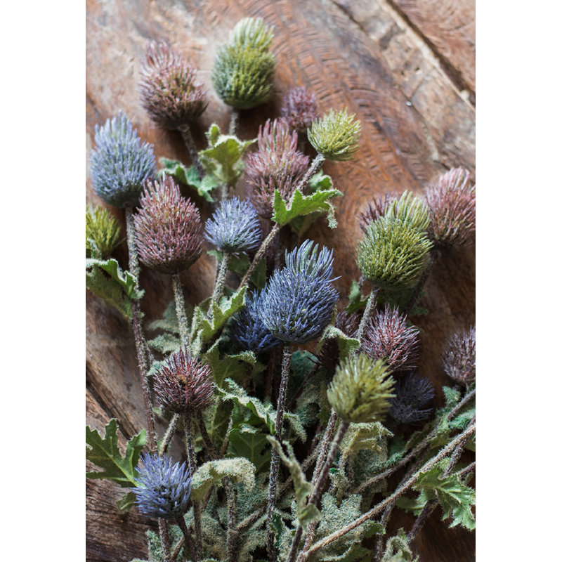 Thistle Arrangement, Blue, Five Stems