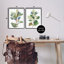 «Soft Eucalyptus Plant Ombre Leaves», ensemble de 2 giclées par Melissa Wang-2004379147-2004379152