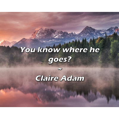 Artsy Quote "You know where he goes?" By Claire Adam Gallery Wrapped Canvas