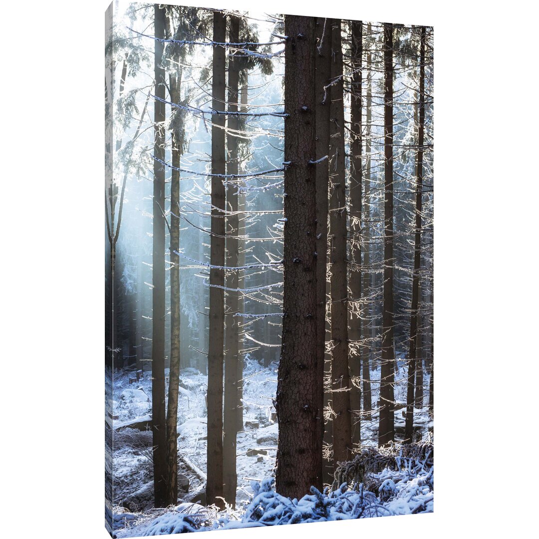 Leinwandbild Winterwald, Fotodruck