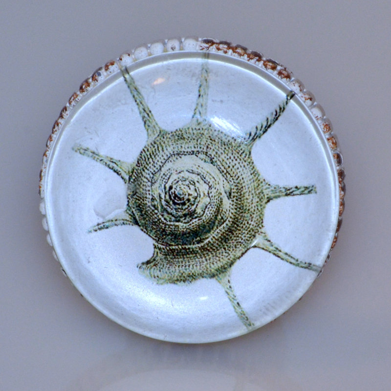 Poignée conch en étain blanchi (ensemble de 4) 