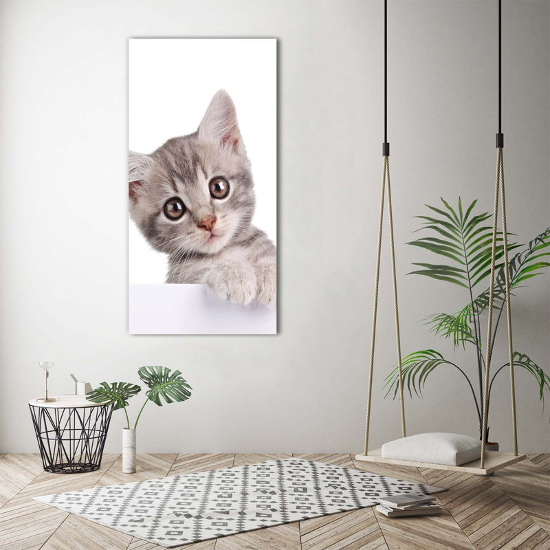 Grey Cat - Wrapped Canvas Print