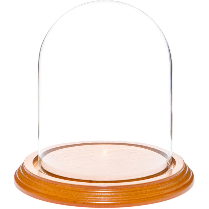 Vucciria 4.5" x 6" Glass Display Dome Cloche, Oak Veneer Base