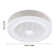 Agel 19.68 Inch Ceiling Fan LED Lamp 3 Color 6 Wind Speed Dimmable With Remote Control