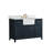 Aisa 48" Single Bathroom Vanity-1786093954