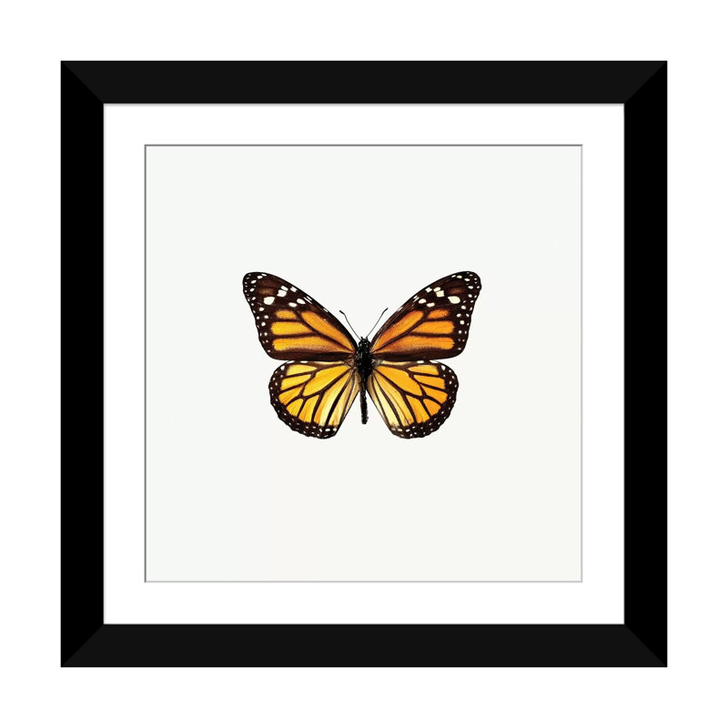 «Yellow Butterfly I», impression sur toile, H 16 po x l 16 po x P 1 po, Papier beaux-arts encadré noir