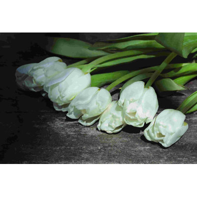 Tulipes cueillies