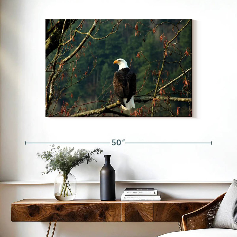 Brampt Perched Canadian Bald Eagle, 26" H x 39" W