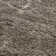 Ellyona Shag Performance Floral Rug
