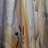 White And Yellow Elegant Lily Purity III - Lilies Floral Room Darkening Curtain - 1 Panels-107567380