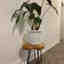 Photos des clients 1 de 1