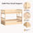 Citori Full Over Full Wood Bunk Bed With Trundle-638400619