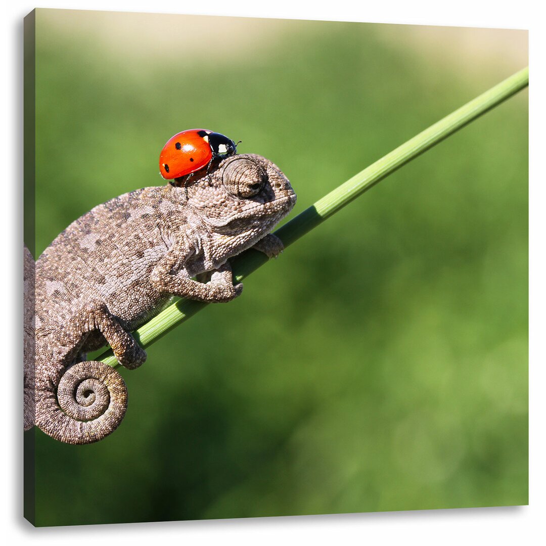 Leinwandbild Süßer Gecko mit einem Marienkäfer