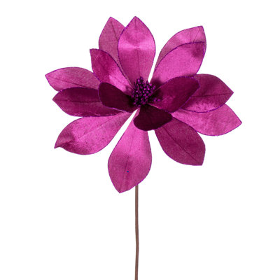 Tige de poinsettia Kimura H 22 po