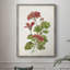 Scarlet Botanical II, reproduction encadrée - bois massif-1519305313