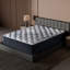 Matelas Plush Luxe 2.0-1261653728