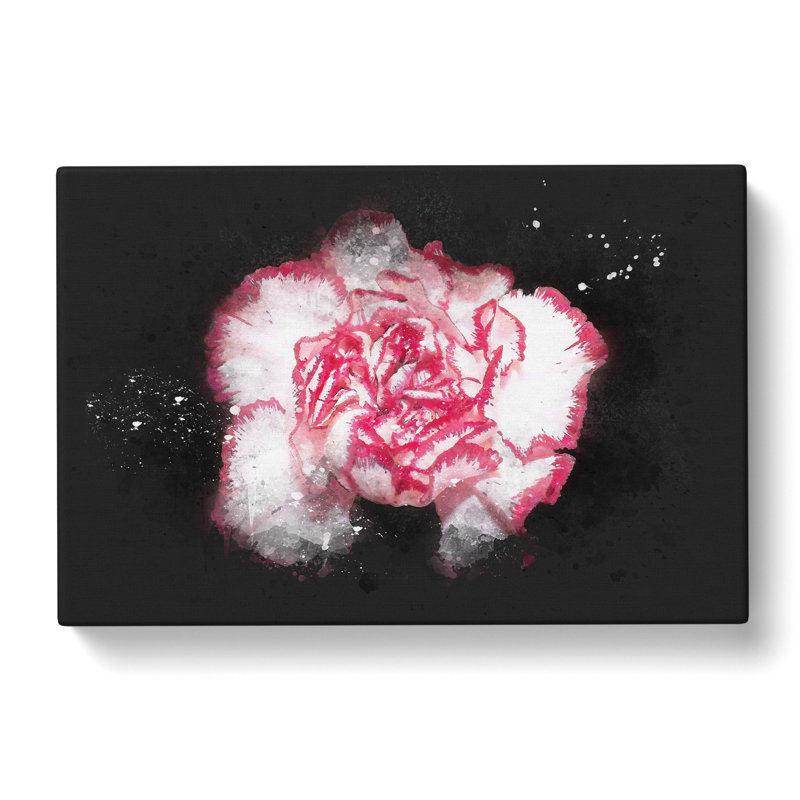 Pink Carnation Flower - Wrapped Canvas Painting, 35cm H x 50cm W x 3cm D