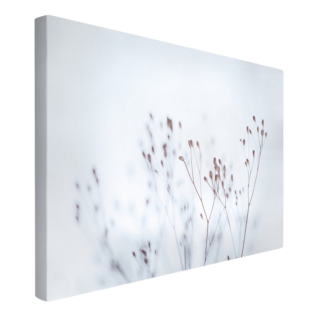 Leinwandbild Pale Blue Wild Flowers von Monika Strigel