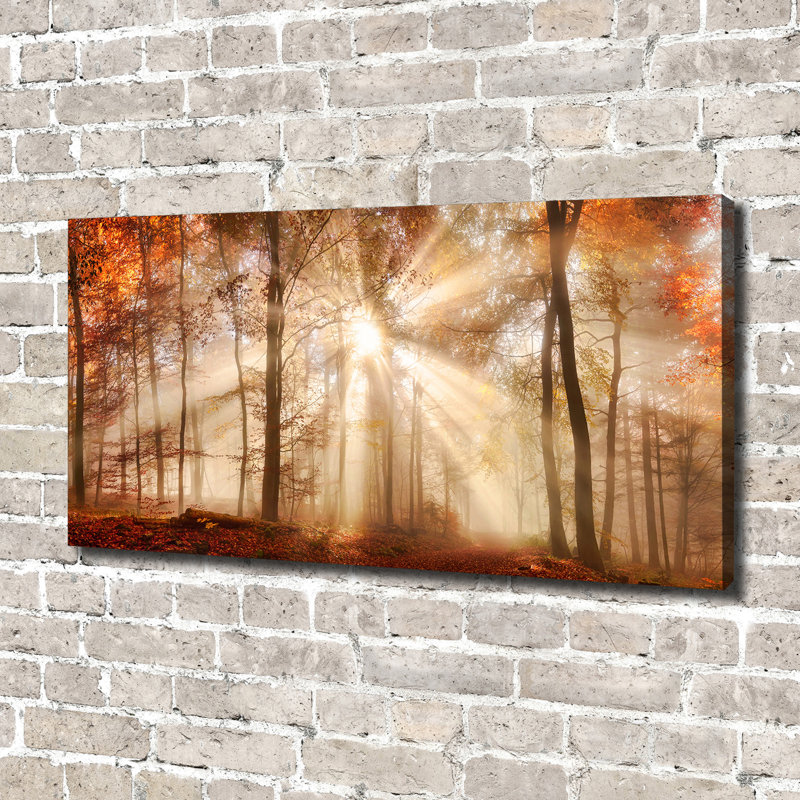 Fog In The Autumn Forest - No Frame Print on Canvas