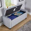 Starke 109cm Wide Rectangle Solid Colour Standard Ottoman with Storage-1857701727