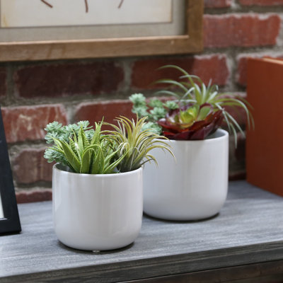 Darwin Ceramic Pot Planter