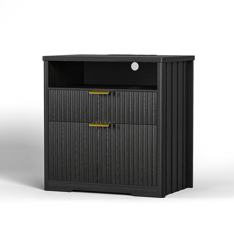73cm Wide 2 -Drawer File Cabinet, Black