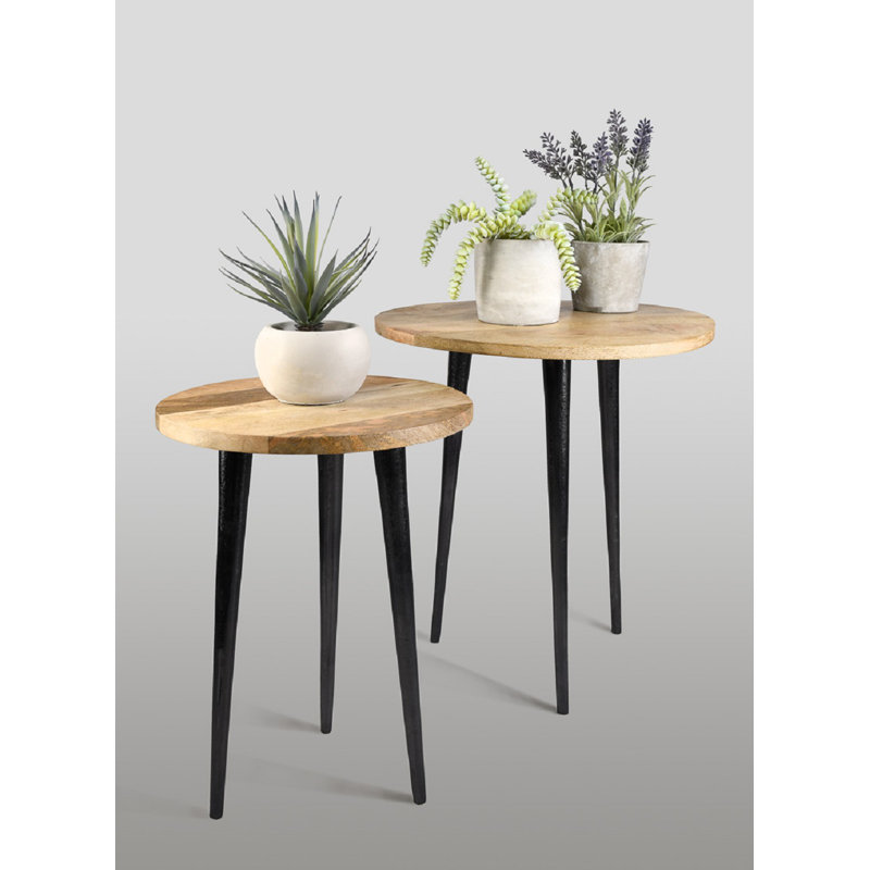 Entiat Solid Wood End Table Set