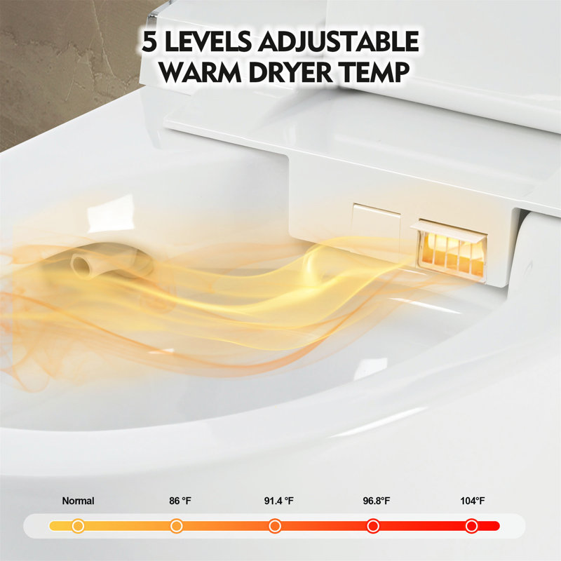 Creationstry Elongated Comfort Height Chair Height Floor Mounted Bidet Toilet with Seat Included