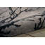 Damicke Indoor Rug-356164985