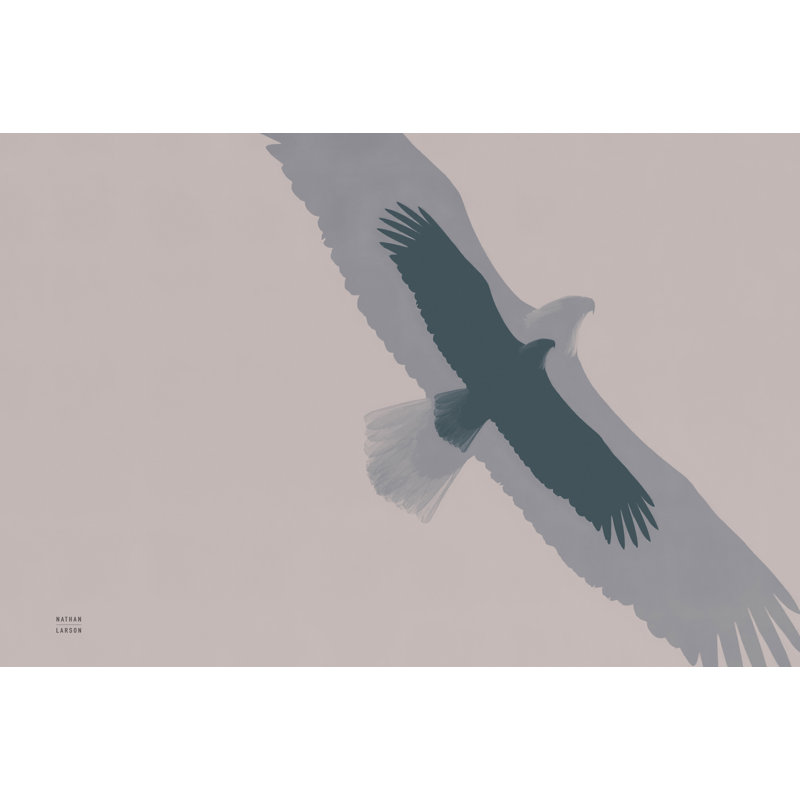 Double Eagle Flight by Nathan Larson - Wrapped Canvas Print, 30cm H x 46cm W x 3.8cm D