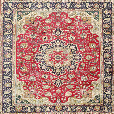 Matas Oriental Indoor Rug