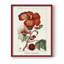 Reproduction encadrée Turpin Tropical Botanicals VII - bois massif-1040985942-1040985949