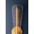 Passaic 1 Light Wall Sconce