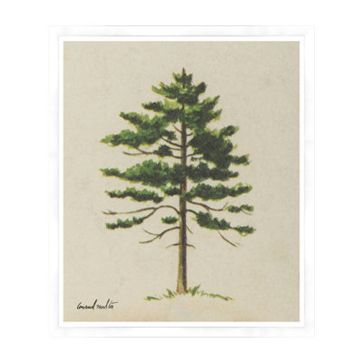 Cedar Print