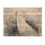 Hurlement lunaire du loup dans le bois II - Art mural moderne sur bois de pin naturel-1683531785