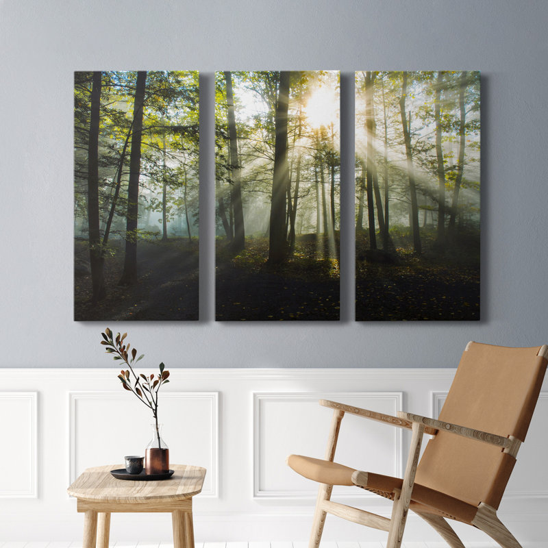 Lumière et arbres - ensemble de 3 photographies sur toile tendue, H 36 po x l 72 po x P 1 po