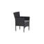 Annalia Aluminium DIning Chair-702898636-702898637