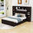 Alvinia Platform Storage Bed-981355762-981355773