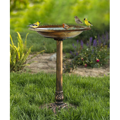 Agueda Resin Birdbath