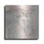 «Gray Head III» par Chris Paschke-92911433