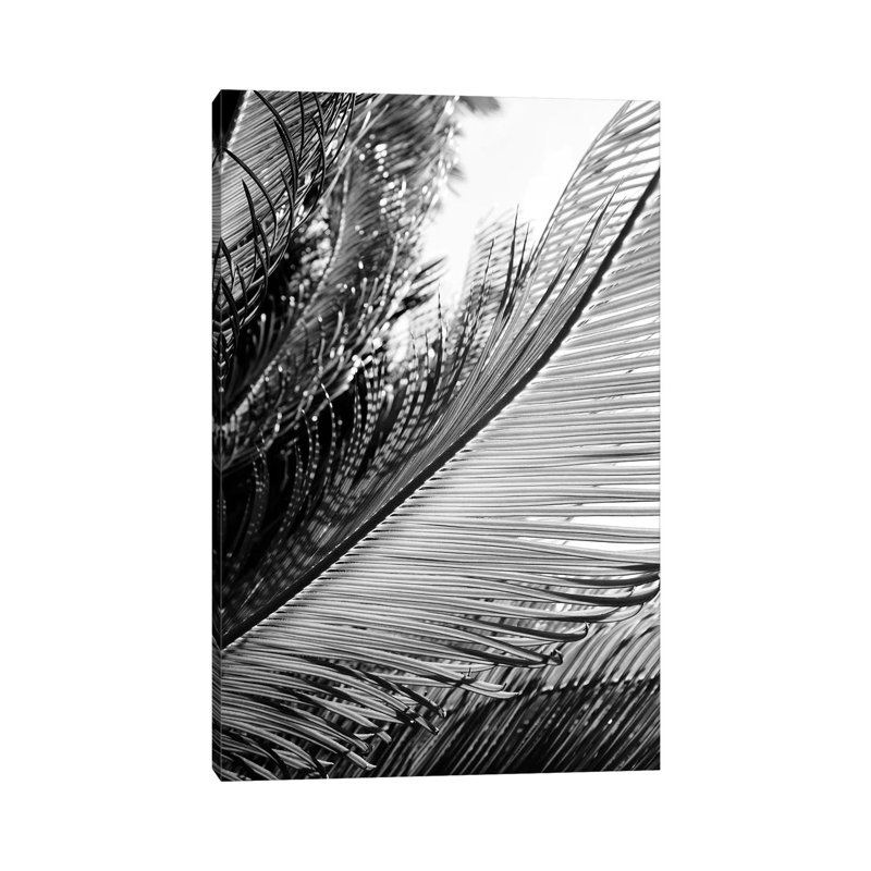 Tropical by Honeymoon Hotel - Wrapped Canvas Print, 30.48 cm H x 45.72 cm W