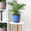 Pot en céramique avec trous de drainage et soucoupes-105388509-105388511