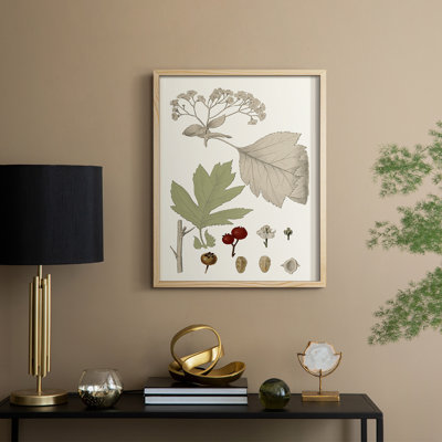 Feuilles et baies II, reproduction encadrée - bois massif