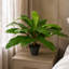 60cm Faux Fern Plant in Pot Liner-1560364593