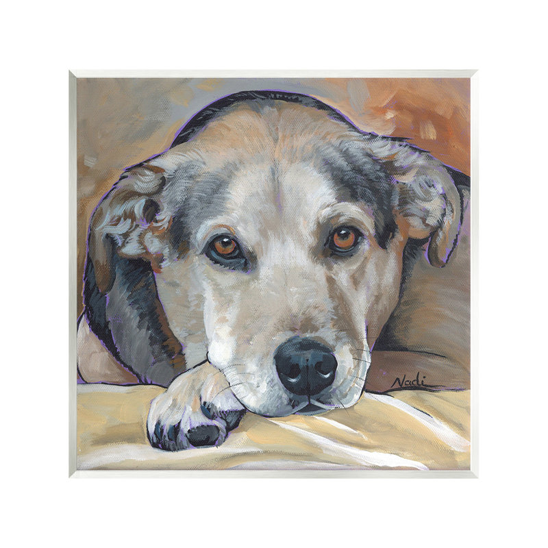«Cozy Dog Portrait» par Nadi Spencer